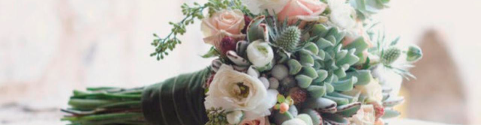 WhatsApp-Image-2025-07-28-at-2.14.40-PM